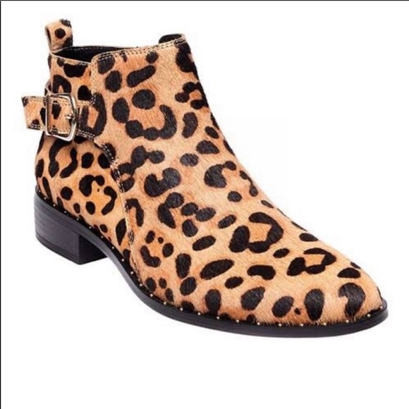 Steven By Steve Madden Shoes - Leopard print ankle boots